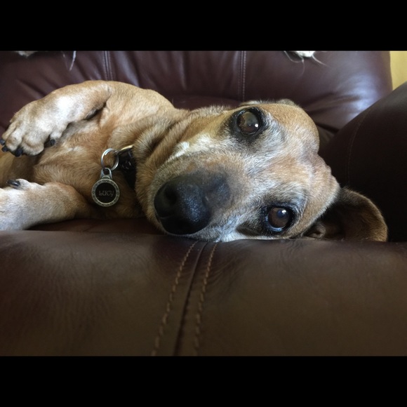 Meet your Posher, Toola - Picture 1 of 1